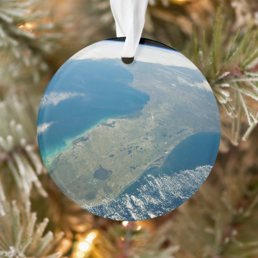 南東部の海岸の斜めフロリダ オーナメント (ツリー)