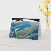 南東部の海岸の斜めフロリダ カード (黄色い花)