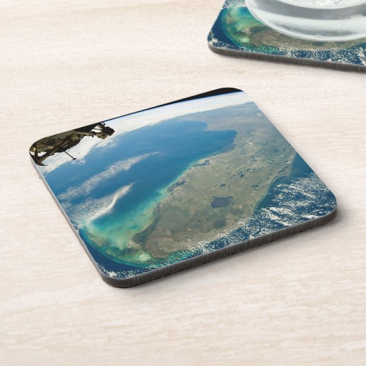 南東部の海岸の斜めフロリダ コースター (左側)