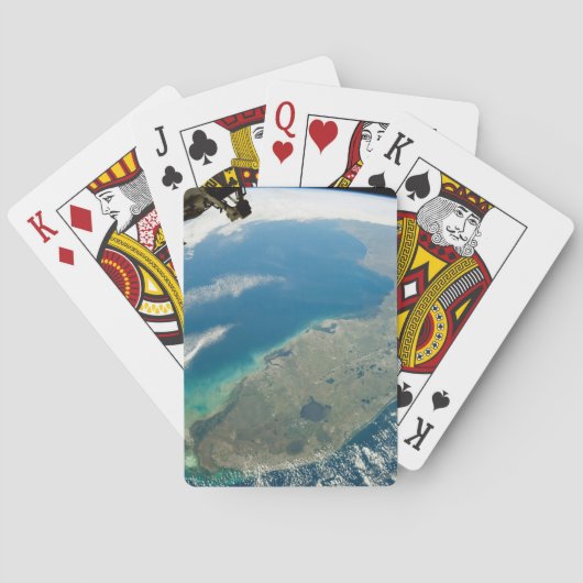 南東部の海岸の斜めフロリダ トランプ (裏面)