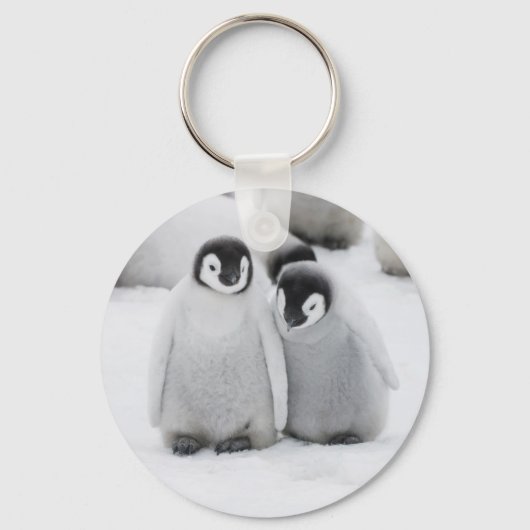南極でコウテイペンギンが氷に浮かぶ キーホルダー (正面)