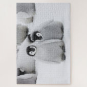 南極でコウテイペンギンが氷に浮かぶ ジグソーパズル (縦)