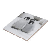 南極でコウテイペンギンが氷に浮かぶ タイル (側面)