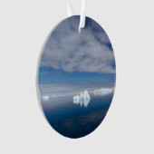 南極に浮かぶ氷 オーナメント (正面)