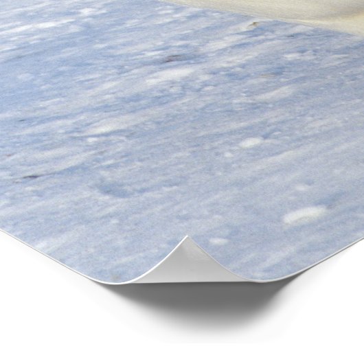 南極のペンギン皇帝が2羽 ポスター (角)