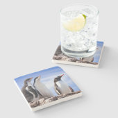 南極のペンギン ストーンコースター (横)