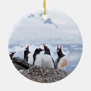 南極のペンギン セラミックオーナメント