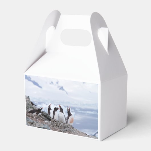 南極のペンギン フェイバーボックス (裏面サイド)