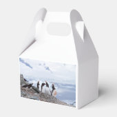 南極のペンギン フェイバーボックス (正面サイド)
