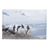 南極のペンギン 枕カバー (裏面)