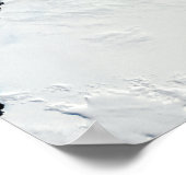 南極のメアリ女王の海岸 ポスター (角)