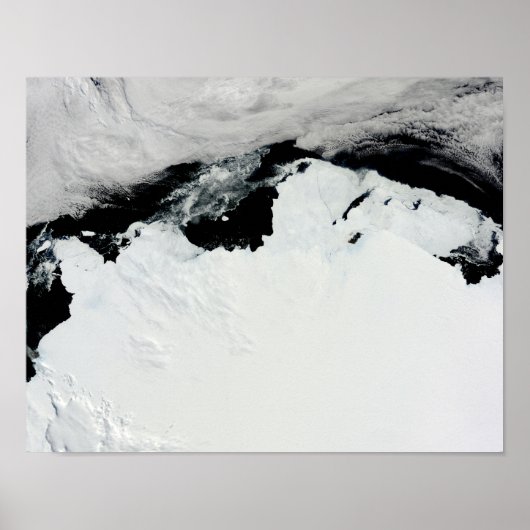 南極のメアリ女王の海岸 ポスター (正面)