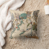 南極のヴィンテージの地図 クッション (ブランケット)