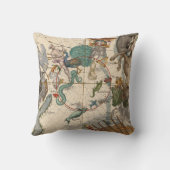 南極のヴィンテージの地図 クッション (裏面)