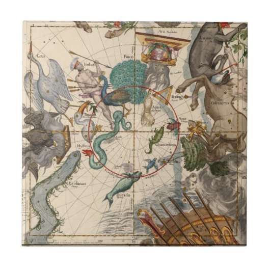 南極のヴィンテージの地図 タイル (正面)