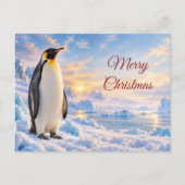 南極の冬の皇帝ペンギン クリスマス (正面)