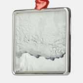 南極の初期春 メタルオーナメント (左)