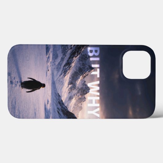 南極の孤独: ペンギンの"なぜ?"クエストアート Case-Mate iPhoneケース (裏面 (横))