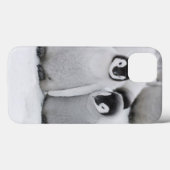 南極の氷の上の皇帝ペンギンのひな Case-Mate iPhoneケース (裏面 (横))