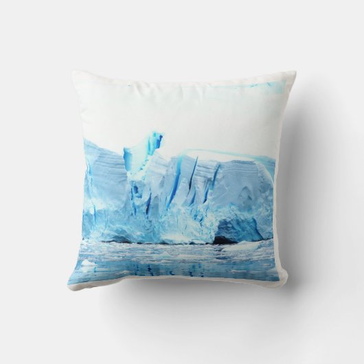 南極の氷河 クッション (裏面)