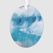 南極の氷 オーナメント (正面)
