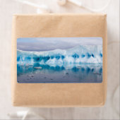 南極の氷 ラベル (インサイチュ)