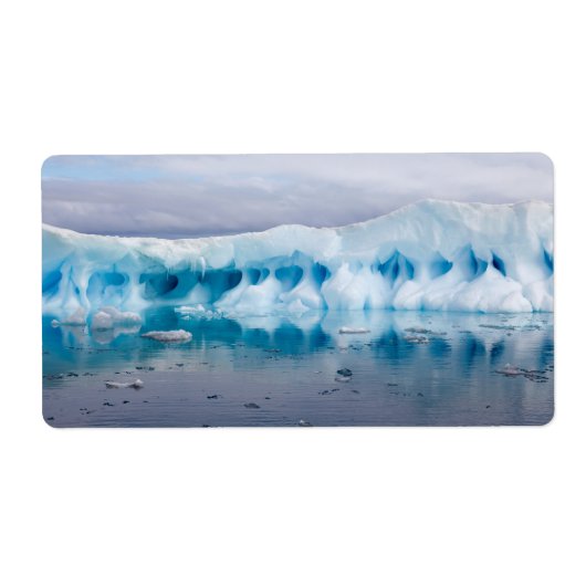 南極の氷 ラベル (正面)