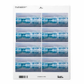 南極の氷 ラベル (フルシート)