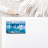 南極の氷 ラベル (インサイチュ)