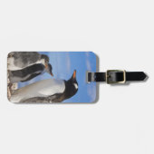 南極ネココーブ（ハーバー）。Gentooペンギン2 ラゲッジタグ (正面横)