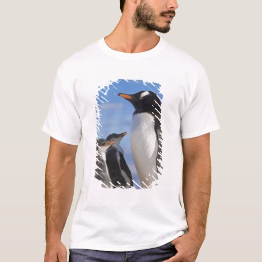 南極ネココーブ（ハーバー）。Gentooペンギン2 Tシャツ (正面)