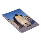 南極ペンギンの群れ写真 ノートブック (右側)