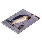 南極マザーペンギン愛撫ベビー ノートブック (左側)