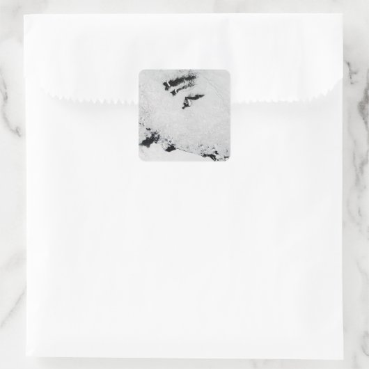 南極付近のバレニー諸島 スクエアシール (バッグ)