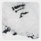 南極付近のバレニー諸島 スクエアシール (正面)