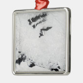 南極付近のバレニー諸島 メタルオーナメント (左)