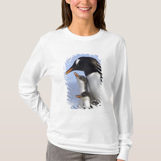 南極半島 ネコハーバー ジェンツーペンギン Tシャツ (正面)