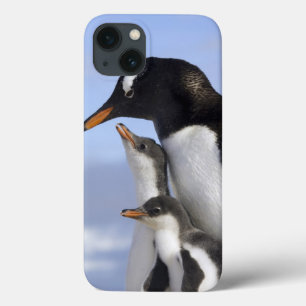 南極半島 ネコ湾 ジェンツーペンギン iPhone 13ケース