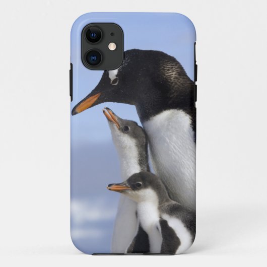 南極半島 ネコ湾 ジェンツーペンギン Case-Mate iPhoneケース (裏面)