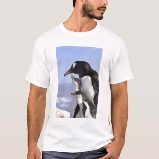 南極半島 ネコ湾 ジェンツーペンギン Tシャツ (正面)