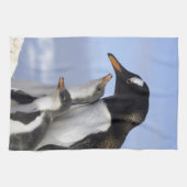 南極半島、寧港、gentoo キッチンタオル (横)
