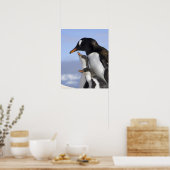 南極半島、寧港、gentoo ポスター (キッチン)