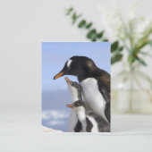 南極半島、寧港、gentoo ポストカード (スタンド正面)