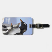 南極半島、寧港、gentoo ラゲッジタグ (正面横)