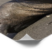 南極南極、南ジョージア島（英国）、キング3 ポスター (角)