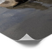 南極南極、南ジョージア島（英国）、南極2 ポスター (角)