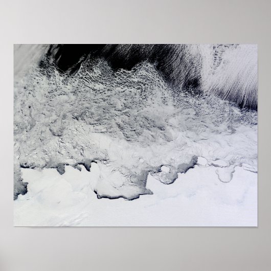 南極大陸のバンザーレ、サブリナ、バッド・コースト ポスター (正面)