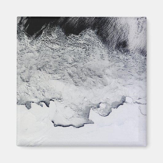 南極大陸のバンザーレ、サブリナ、バッド・コースト マグネット (正面)