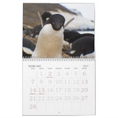 南極大陸のペンギンのカレンダー カレンダー (2月 2027)