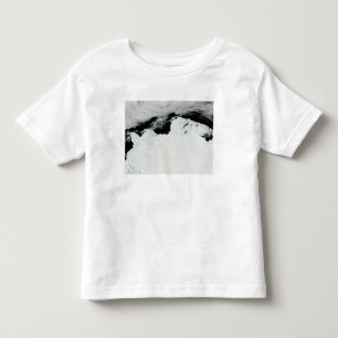 南極大陸のメリー女王の海岸 トドラーTシャツ